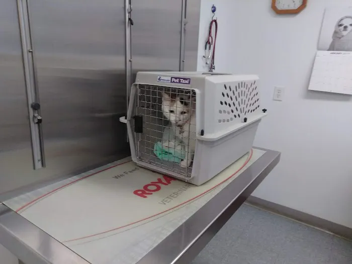 West River Valley Veterinary Service 6