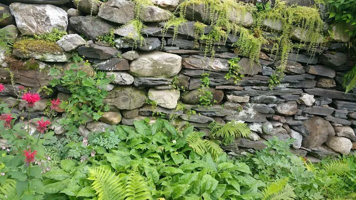 VT NH Veterinary Clinic 6