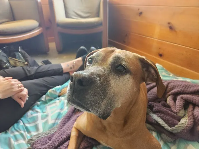 VT NH Veterinary Clinic 4