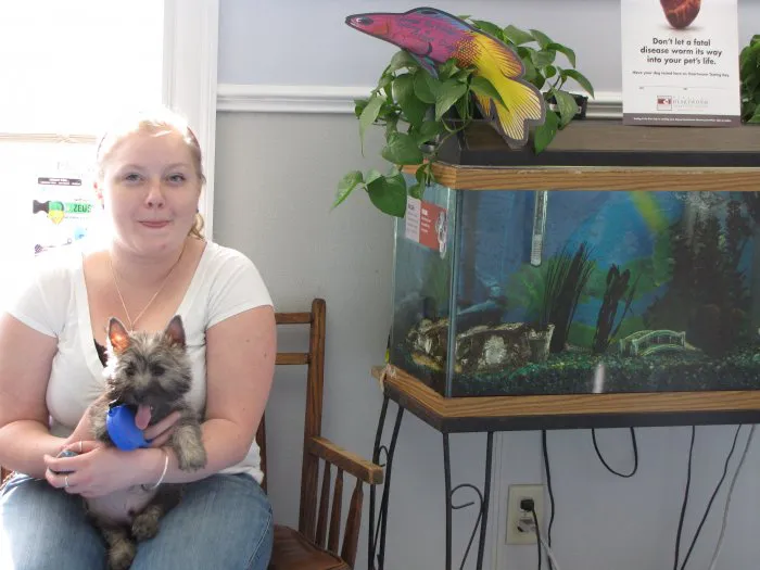 VCA Windham Animal Hospital 3