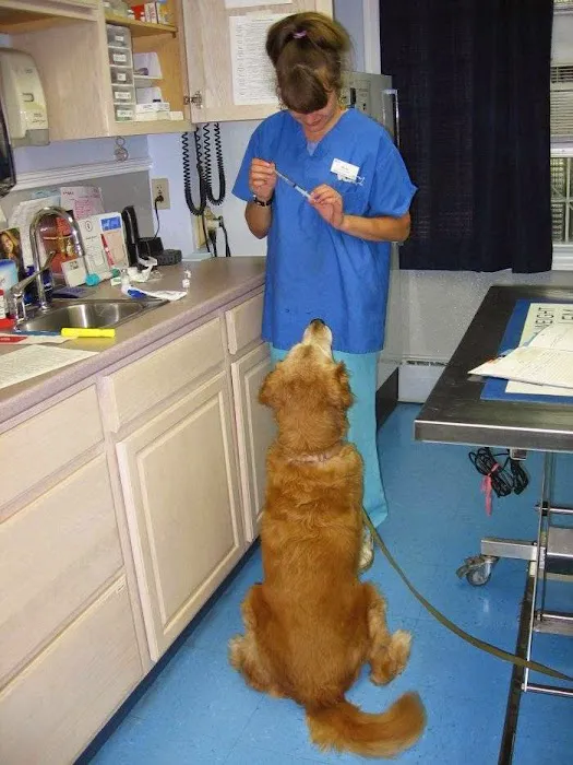 VCA Windham Animal Hospital 2