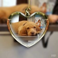 VCA Windham Animal Hospital ico
