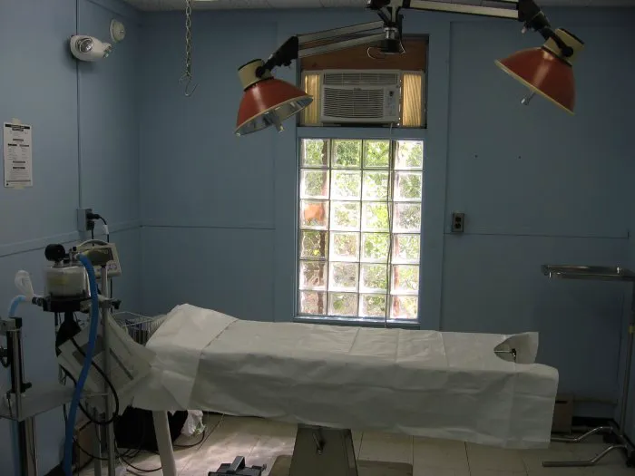 VCA Windham Animal Hospital 4
