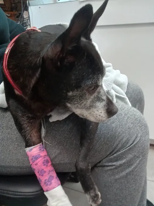 Eastwood Animal Clinic 3