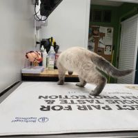 Eastwood Animal Clinic ico