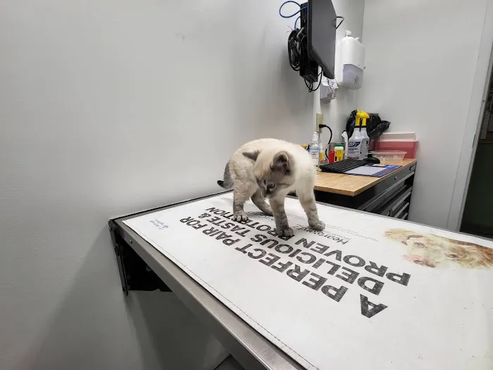 Eastwood Animal Clinic 6