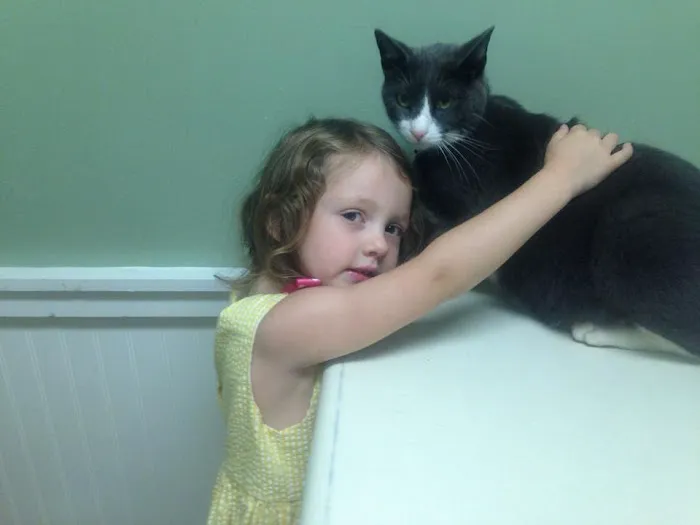 Riverside Veterinary Care and Dental Services 8
