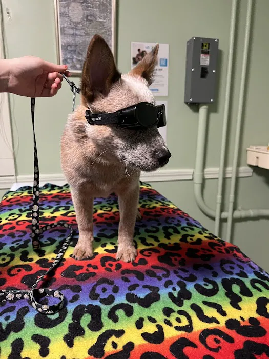 All Points Animal Care 5