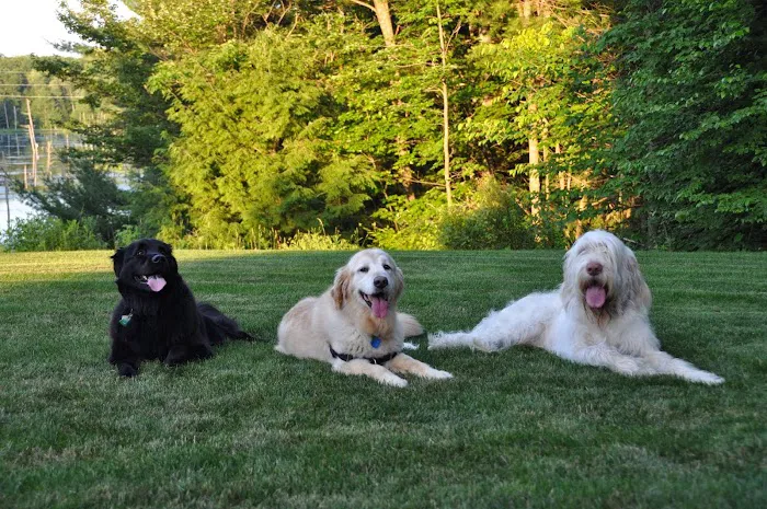 Raymond Animal Hospital 1