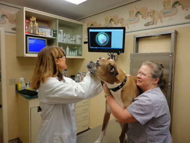 Raymond Animal Hospital 2