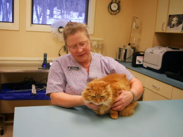 Raymond Animal Hospital 5