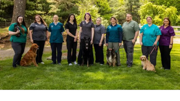 Cornerstone Veterinary Hospital 3