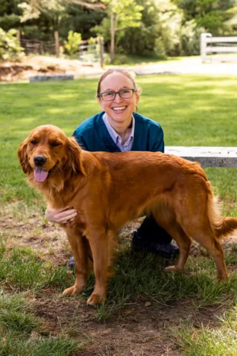 Cornerstone Veterinary Hospital 2