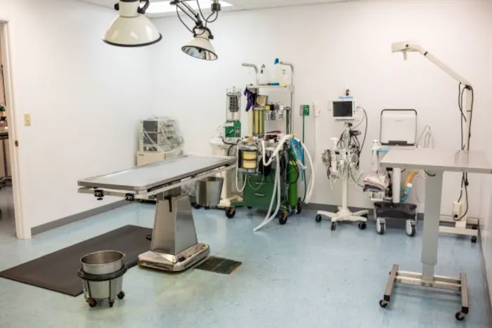 Cornerstone Veterinary Hospital 8