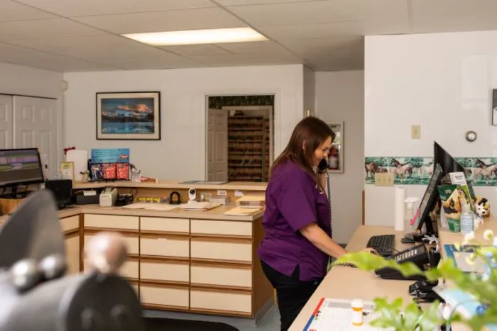 Cornerstone Veterinary Hospital 9