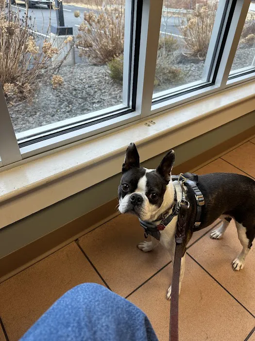 Hampstead Animal Hospital 1