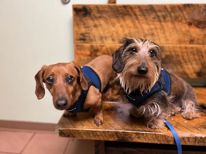 Hampstead Animal Hospital 9