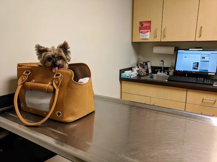 Hampstead Animal Hospital 6