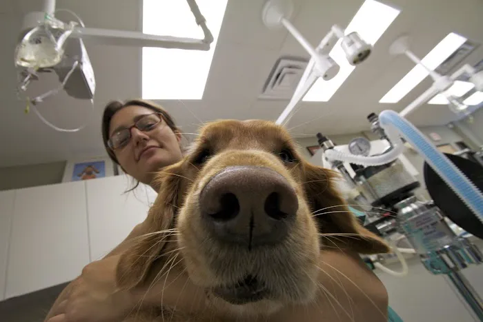 River Road Veterinary Hospital 5