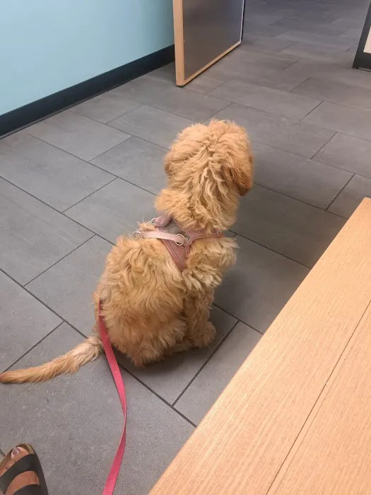 Banfield Pet Hospital 1