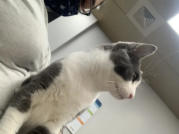 Banfield Pet Hospital 6
