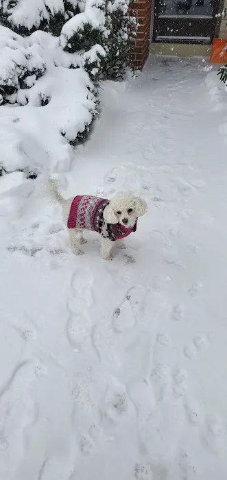 VCA Lynnfield by the Lake Animal Hospital 5