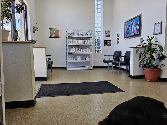 Porter Square Veterinarian 10