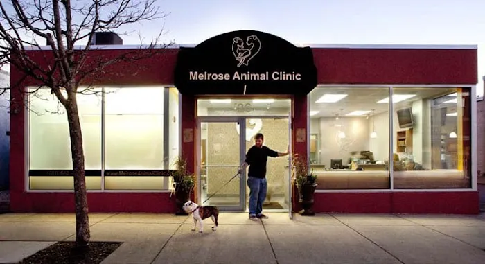 Melrose Animal Clinic 1