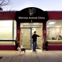 Melrose Animal Clinic ico