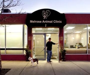Melrose Animal Clinic