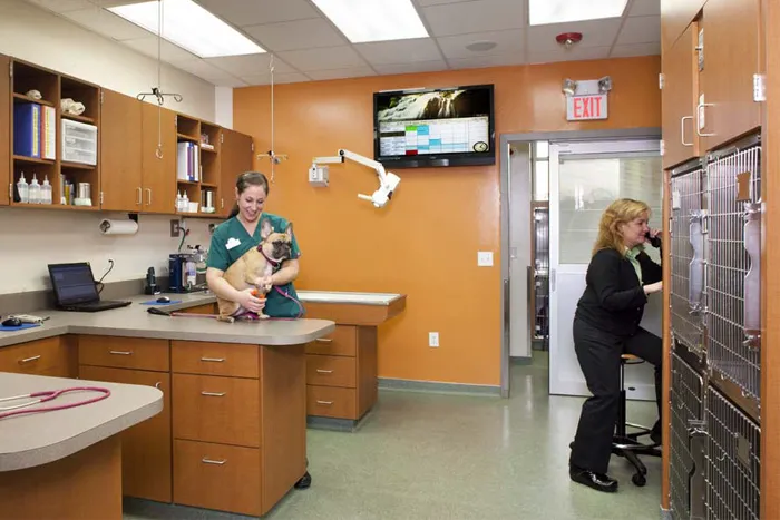 Melrose Animal Clinic 2