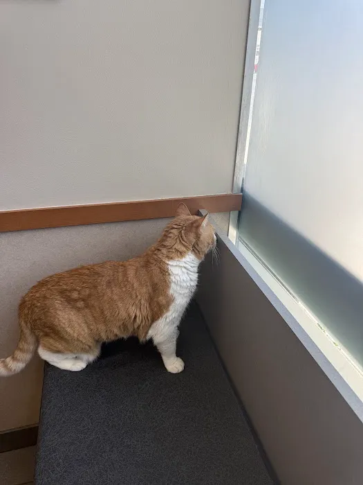 Melrose Animal Clinic 4