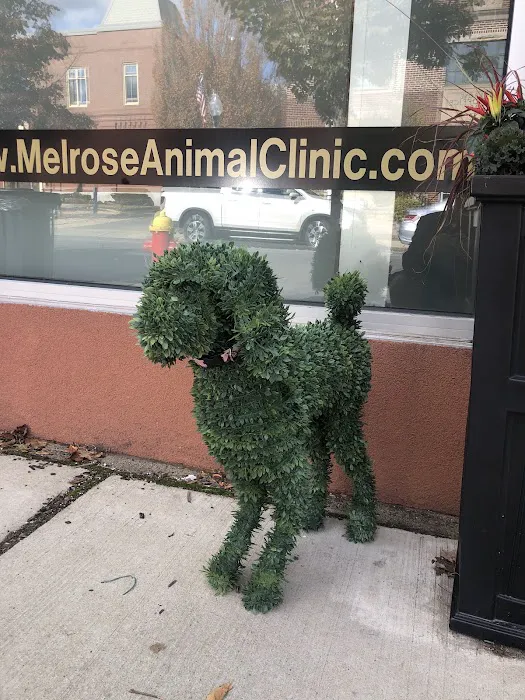 Melrose Animal Clinic 8