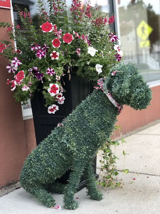 Melrose Animal Clinic 10