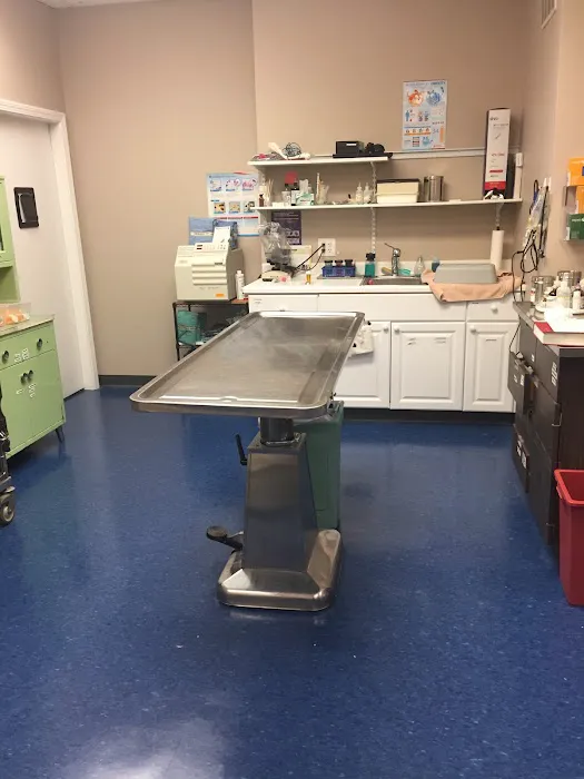 Somerville Veterinary Center 6