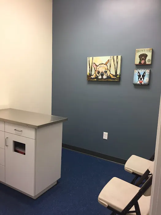 Somerville Veterinary Center 7