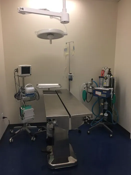 Somerville Veterinary Center 9