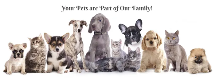 Cambridge Veterinary Care 1
