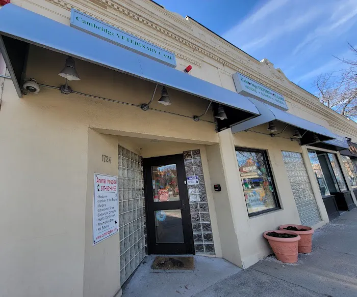 Cambridge Veterinary Care 7