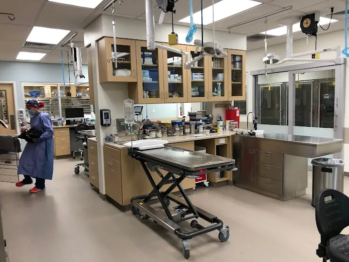VCA Wakefield Animal Hospital 3