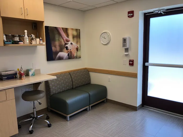 VCA Wakefield Animal Hospital 2