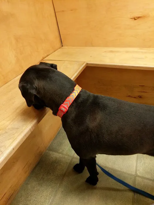 VCA Wakefield Animal Hospital 5