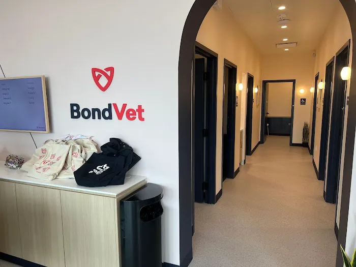 Bond Vet - Lynnfield 6