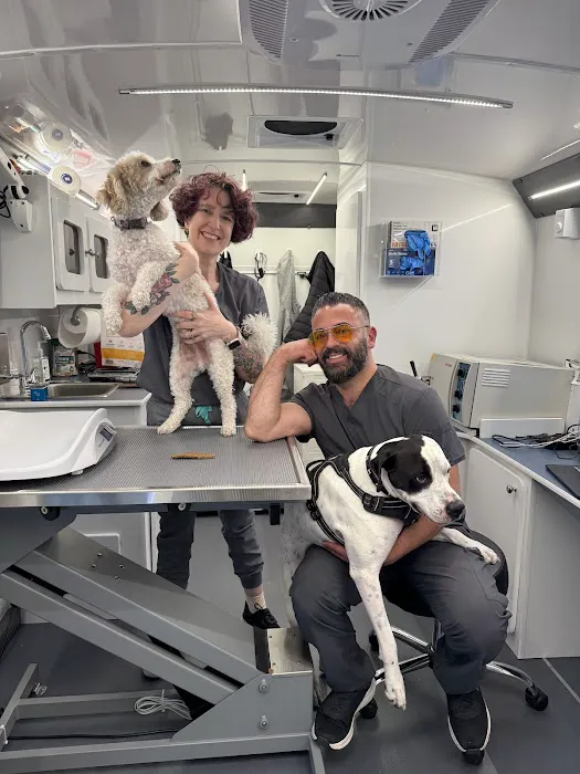 Tandem Cambridge Onsite Veterinary Clinic 3