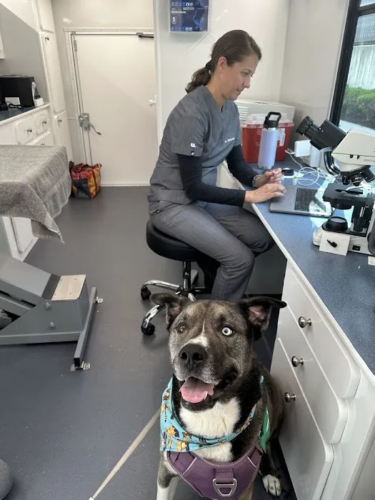 Tandem Cambridge Onsite Veterinary Clinic 4