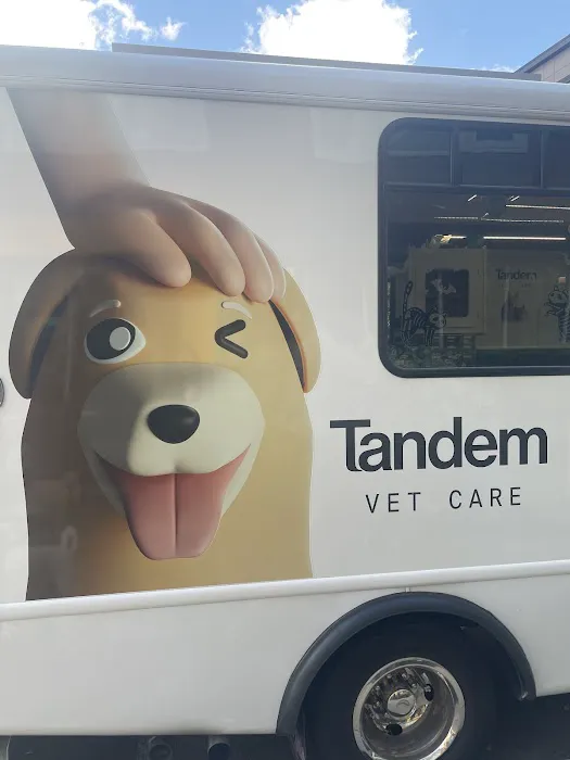 Tandem Cambridge Onsite Veterinary Clinic 8