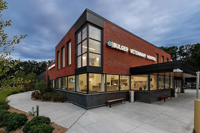 Bulger Veterinary Hospital 3