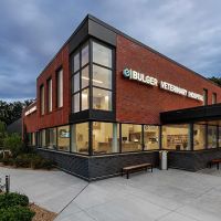 Bulger Veterinary Hospital ico