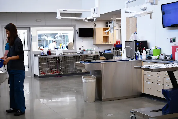 Bulger Veterinary Hospital 10