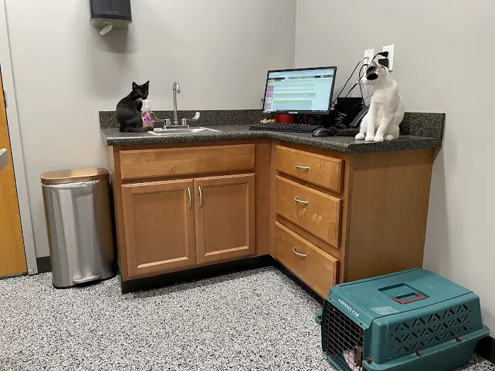 East Mill Animal Hospital 7